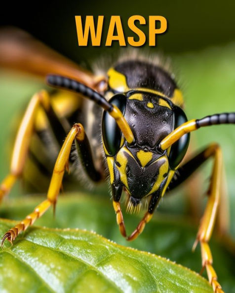 Wasp: Fun Facts Book for Kids