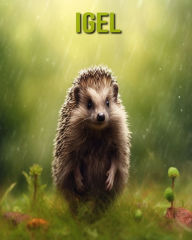 Title: Igel: Unterhaltsames und lehrreiches Buch für Kinder mit erstaunlichen Fakten und Bildern, Author: Cinta Horton