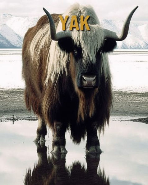 Yak: Buch mit erstaunlichen Fotos und lustigen Fakten