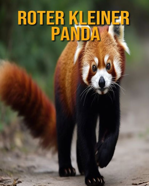 Roter kleiner Panda: Buch mit lustigen Fakten für Kinder