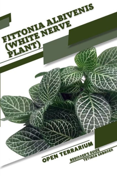 Fittonia albivenis (White Nerve Plant): Open terrarium, Beginner's Guide