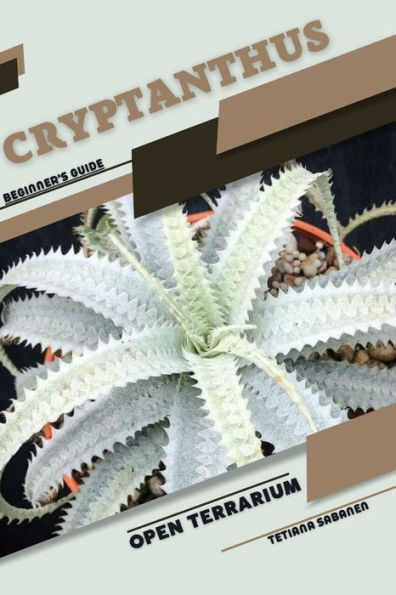 Cryptanthus: Open terrarium, Beginner's Guide