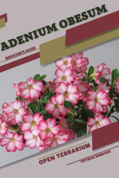 Adenium obesum: Open terrarium, Beginner's Guide