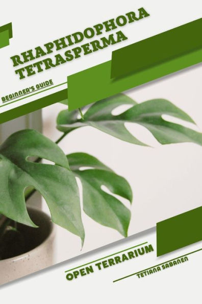 Rhaphidophora tetrasperma: Open terrarium, Beginner's Guide