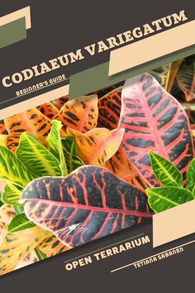 Codiaeum variegatum: Open terrarium, Beginner's Guide