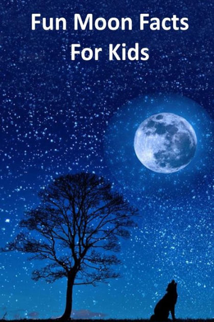 Fun Moon Facts for Kids by Rich Linville, Paperback | Barnes & Noble®