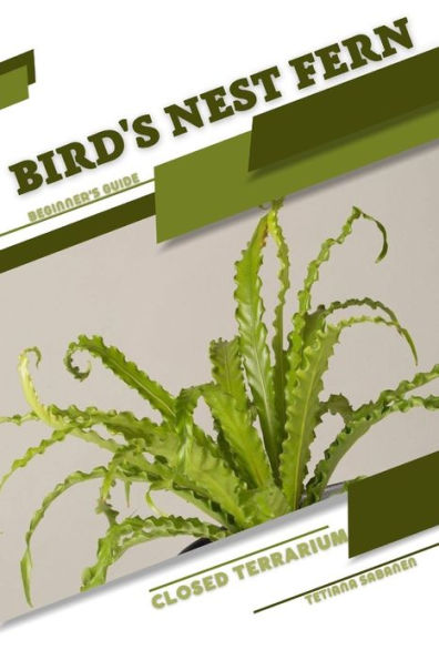 Bird's Nest Fern: Closed terrarium, Beginner's Guide