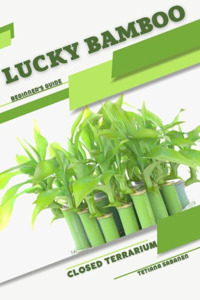 Lucky Bamboo: Closed terrarium, Beginner's Guide