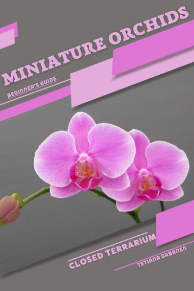 Miniature Orchids: Closed terrarium, Beginner's Guide