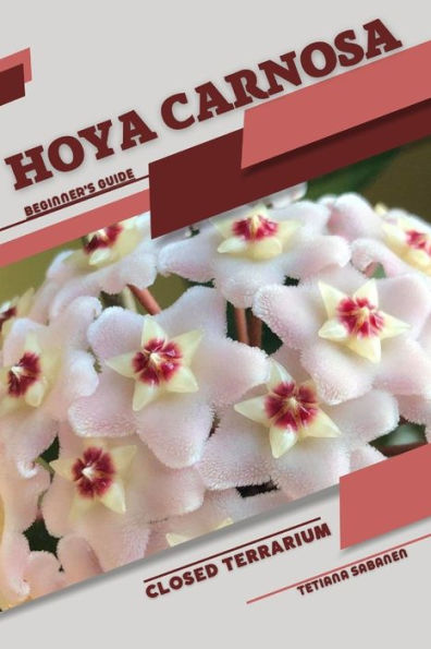 Hoya carnosa: Closed terrarium, Beginner's Guide