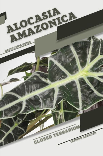 Alocasia amazonica: Closed terrarium, Beginner's Guide