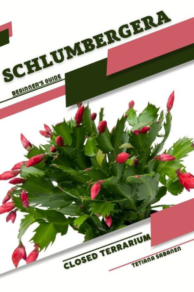 Schlumbergera: Closed terrarium, Beginner's Guide