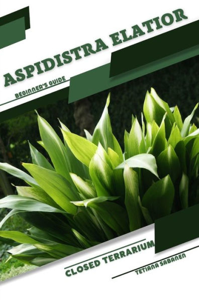 Aspidistra elatior: Closed terrarium, Beginner's Guide