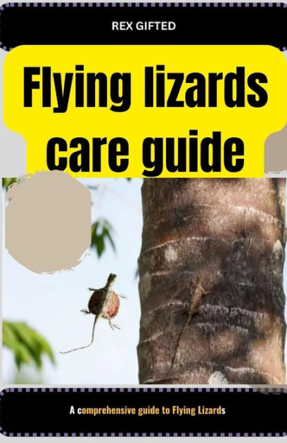 Flying lizards care guide: A comprehensive guide to Flying Lizards by ...