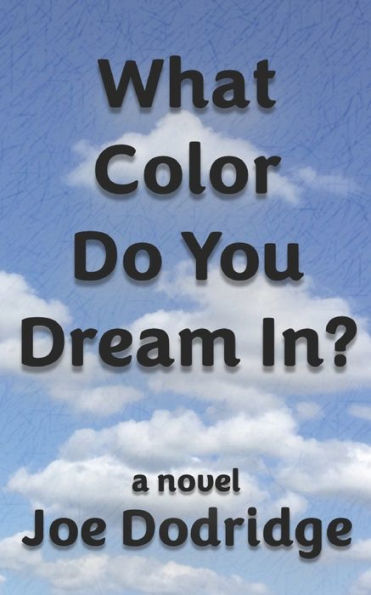What Color Do You Dream In?: a novel
