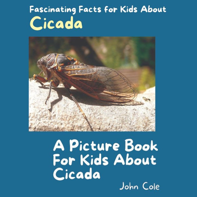 A Picture Book for Kids About Cicada: Fascinating Facts for Kids About ...