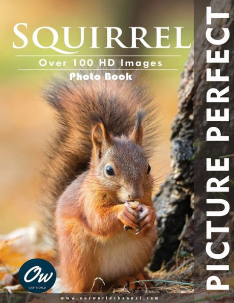Squirrel: Picture Perfect Photo Book