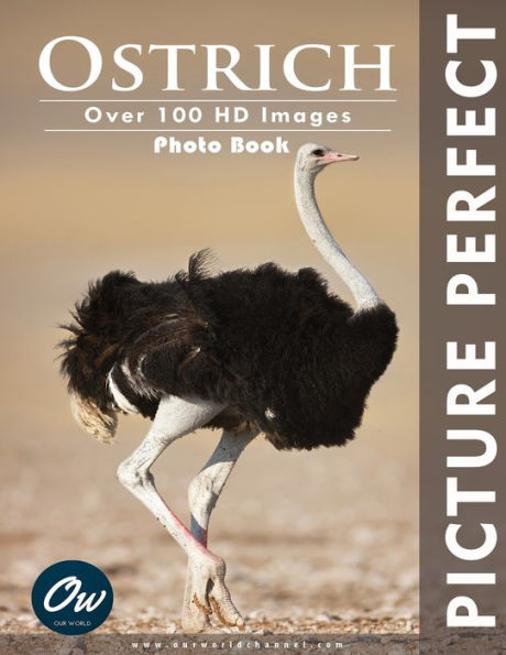 Ostrich: Picture Perfect Photo Book