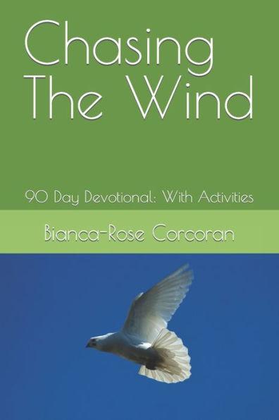 Chasing The Wind: 90 Day Devotional: With Activities