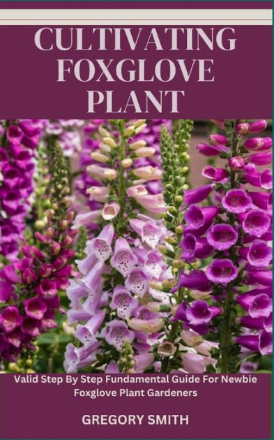 CULTIVATING FOXGLOVE PLANT: Valid Step By Step Fundamental Guide For ...