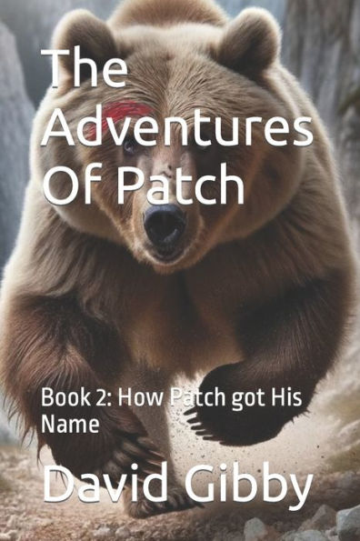 The Adventures Of Patch: Book2: How Patch got His Name