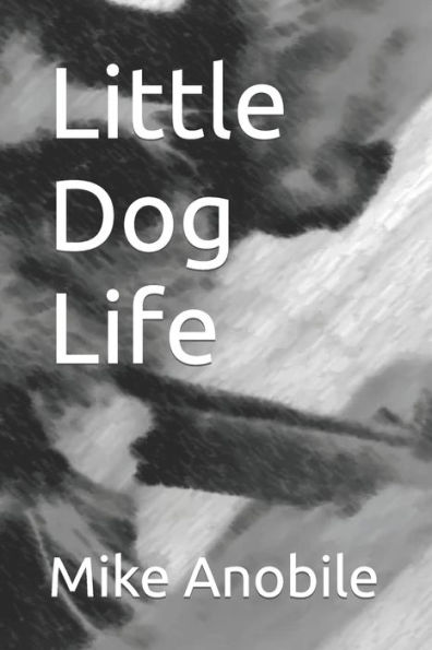 Little Dog Life