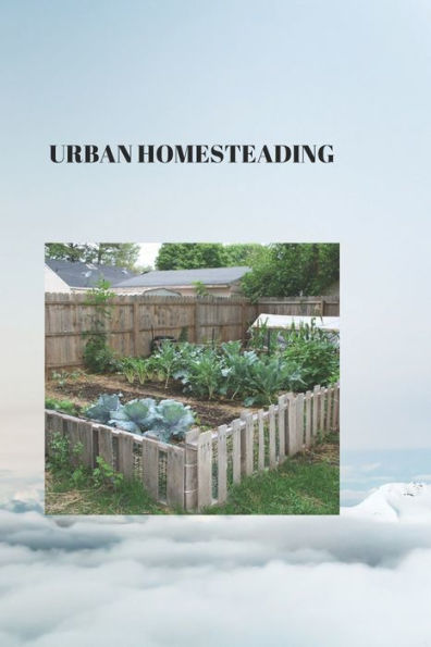 URBAN HOMESTEADING: THE URBAN HOMESTEADER'S HANDBOOK: Thriving in the Heart of the City