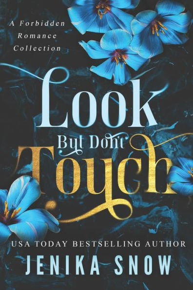 Look But Don't Touch: A Forbidden Romance Collection