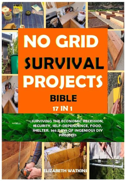 No Grid Survival Projects Bible 17 in 1: Surviving the Economic ...