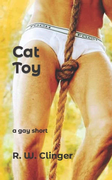 Cat Toy: A Gay Short