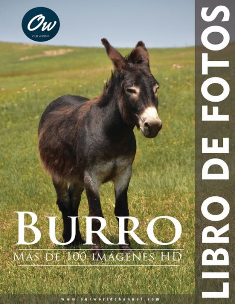 Burro: Libro de fotos