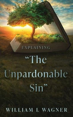 Explaining "The Unpardonable Sin"