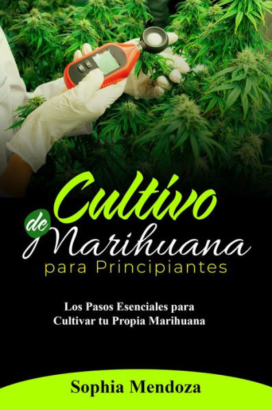 Cultivo de Marihuana Para Principiantes: LOS PASOS ESENCIALES PARA CULTIVAR TU PROPIA MARIHUANA