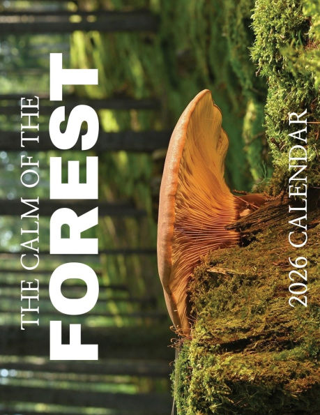 The Calm of the Forest 2026 Calendar