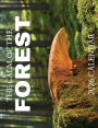 The Calm of the Forest 2026 Calendar
