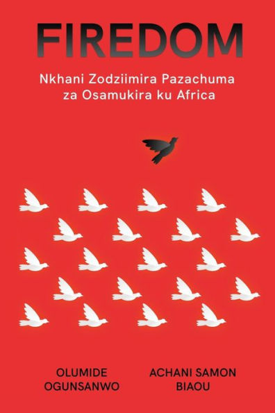 Firedom: Nkhani Zodziimira Pazachuma za Osamukira ku Africa