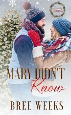Mary Didn't Know: A Holiday, Instalove Romance