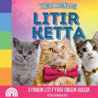 Title: Yngri Regnbogi, Litir Ketta: Kynnum liti fyrir ungum hugum, Author: Rainbow Roy