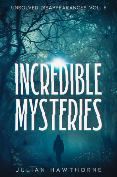 Incredible Mysteries Unsolved Disappearances Vol. 4: True Crime Stories of Missing Persons Who Vanished Without a Trace