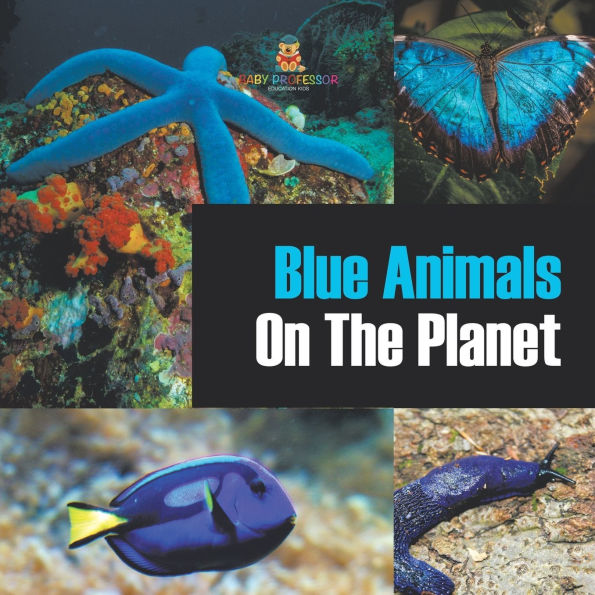 Blue Animals On The Planet