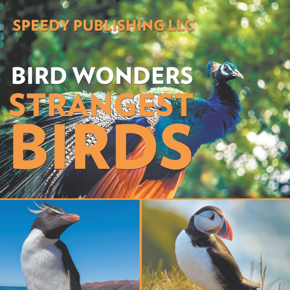 Bird Wonders - Strangest Birds