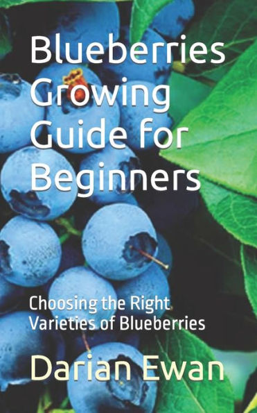 Blueberries Growing Guide for Beginners: Choosing the Right Varieties of Blueberries