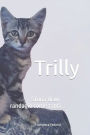 Trilly: Storia di un randagio come tanti