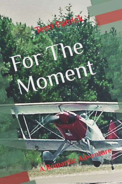 For The Moment: A Romantic Adventure