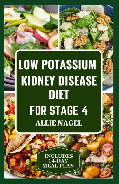 Low Potassium Kidney Disease Diet for Stage 4: Delicious Low Sodium ...