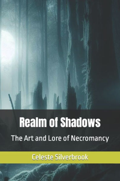Realm of Shadows: The Art and Lore of Necromancy