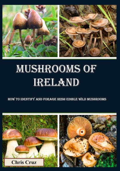 Mushrooms of Ireland: How to Identify and Forage Irish Edible Wild Mushrooms