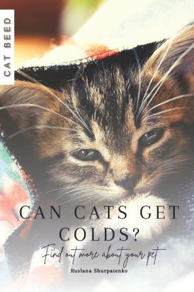 Can cats get colds?: Find out more about your pet