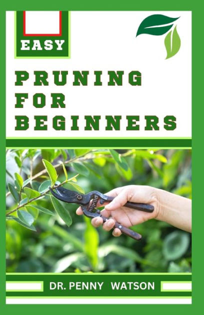 Pruning for Beginners: Learn How to Prune Trees and Take Care of Your ...