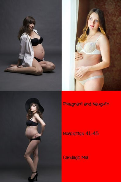 Pregnant and Naughty: Novelettes 41-45